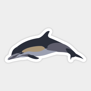 Common Dolphin Sticker